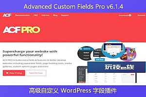 Advanced Custom Fields Pro v6.1.4 – 高级自定义 WordPress 字段插件