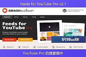 Feeds for YouTube Pro v2.1 – YouTube Pro 的提要插件