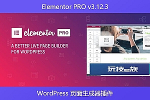 Elementor PRO v3.12.3 – WordPress 页面生成器插件