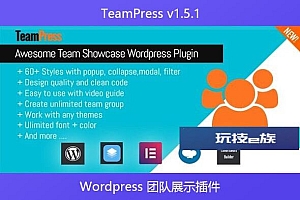 TeamPress v1.5.1 – WordPress 团队展示插件