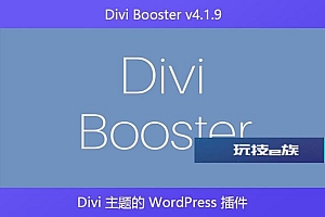 Divi Booster v4.1.9 – Divi 主题的 WordPress 插件