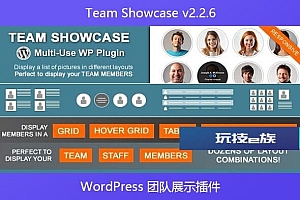 Team Showcase v2.2.6 – WordPress 团队展示插件