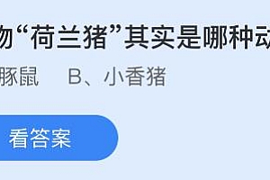 蚂蚁小课堂5.7今日答案最新:宠物“荷兰猪”其实是哪种动物?