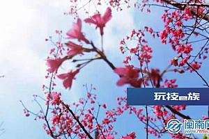 520浪漫情话唯美短句  520我爱你文案简短唯美句子