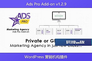 Ads Pro Add-on v1.2.9 – WordPress 营销机构插件
