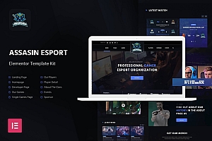 Assasin | 电竞 Elementor Template Kit