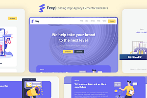 Fexy – 代理商登陆页面 Elementor Block Kit