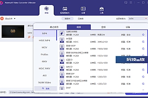 Aiseesoft Video Converter v10.7.16