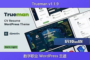 Trueman v1.1.9 – 数字职业 WordPress 主题