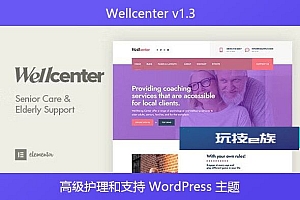 Wellcenter v1.3 – 高级护理和支持 WordPress 主题