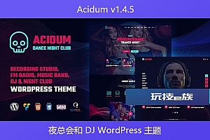 Acidum v1.4.5 – 夜总会和 DJ WordPress 主题
