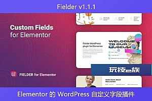 Fielder v1.1.1 – Elementor 的 WordPress 自定义字段插件