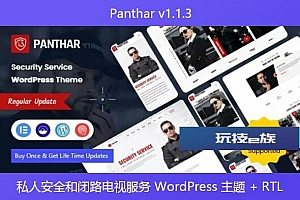 Panthar v1.1.3 – 私人安全和闭路电视服务 WordPress 主题 + RTL