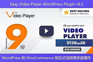 Easy Video Player WordPress Plugin v9.2 – WordPress 和 WooCommerce 响应式视频播放器插件