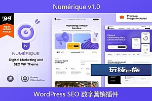 Numérique v1.0 – WordPress SEO 数字营销插件