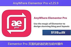 AnyWhere Elementor Pro v2.25.9 – Elementor Pro 页面构建器的附加组件插件