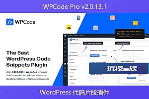 WPCode Pro v2.0.13.1 – WordPress 代码片段插件