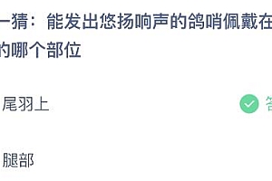 蚂蚁庄园今日答案最新7.26:鸽哨佩戴在鸽子的哪个部位