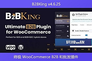 B2BKing v4.6.25 – 终极 WooCommerce B2B 和批发插件