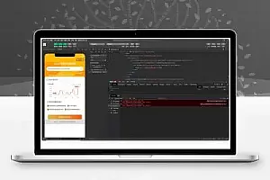 双十一淘宝查历史最低价流量主小程序