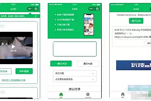 去水印小程序源码-无需后台对接接口支持全网去水印功能