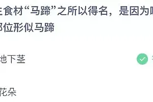 蚂蚁庄园今日答案最新:水生食材马蹄得名是因为哪个部位形似马蹄?地下茎还是花朵