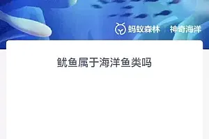 鱿鱼属于海洋鱼类吗?蚂蚁森林11.14神奇海洋今日答案最新