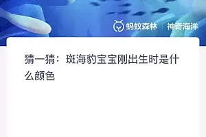 斑海豹宝宝刚出生时是什么颜色?神奇海洋11.16今日答案最新