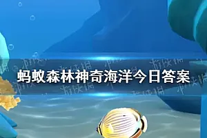 ç»ç海绵ä¸ç³çè¿æ¯ä¿ªè¾å
±çï¼ç¥å¥æµ·æ´11æ26æ¥çæ¡ææ°