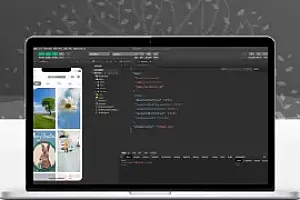 uni-app壁纸小程序源码无需域名服务器