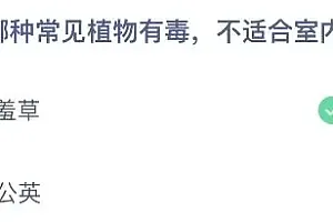 蚂蚁庄园今日答案最新:以下哪种常见植物有毒不适合室内养殖?含羞草还是蒲公英