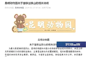 昆明动物园:决定立即采用诱捕方式将猫移出猴山