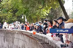 记者实地探访昆明动物园移猫出猴山,两只猫并未出现