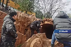 昆明动物园2只猫咪,住进新家