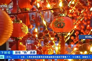 年味渐浓,你都买了什么年货?这些商品热销