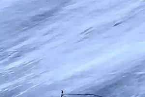 男子滑雪滑到边境线被雪场拉黑,警方:若越过铁丝网,还会被拘留
