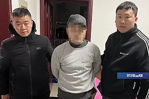 男子拉车门盗窃作案多起被刑拘:随机拽车门,拽得开就偷
