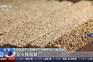 踏进腊月门,年味铺满集!各地家家户户采办年货点亮“过年氛围”