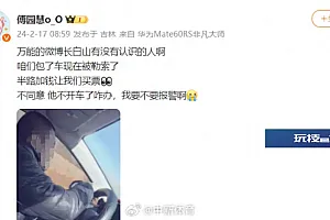 央媒:假如不是傅园慧呢?