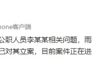 湖南长沙雨花区一公职人员被曝不雅聊天,官方通报:免职,立案