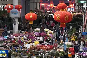 【新春走基层】斗南花市里的美丽事业