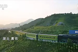 石缝间种树 他让“石海”变“绿洲”
