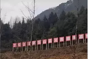 重庆一公园把原有树木挖了搞植树节?当地回应:该信息为不实信息