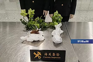 杭州机场,一旅客被海关拦截!竟违规携带……