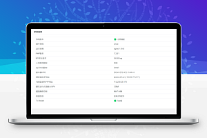 大猿人2.14更新4.2增强版订单中控系统支持任意通道余额查询