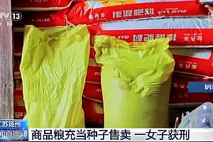 商品粮充当种子售卖?这样做违法!