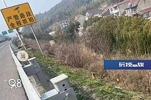 离了个大谱!杭州一高速边绿化带内有人……还带了一群鸡?
