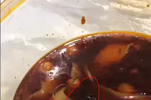 麻了!浙江男子外卖吃出十多公分长蜈蚣,商家:伤害应该不大,已登门道歉