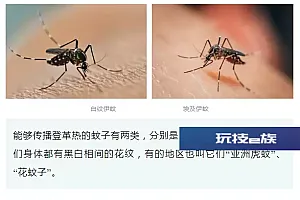 突发高热注意!这个病高发期来了,严重可致死