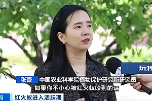 临时工自学搭网站盗版500多名作家作品?涉嫌犯罪已被抓